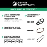 Genuine Factory Parts 5L x 35.25 GFP Drive Belt - Image 3